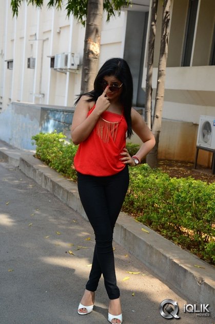 Swathi-Deekshith-at-Ladies-and-Gentlemen-Movie-Success-Meet